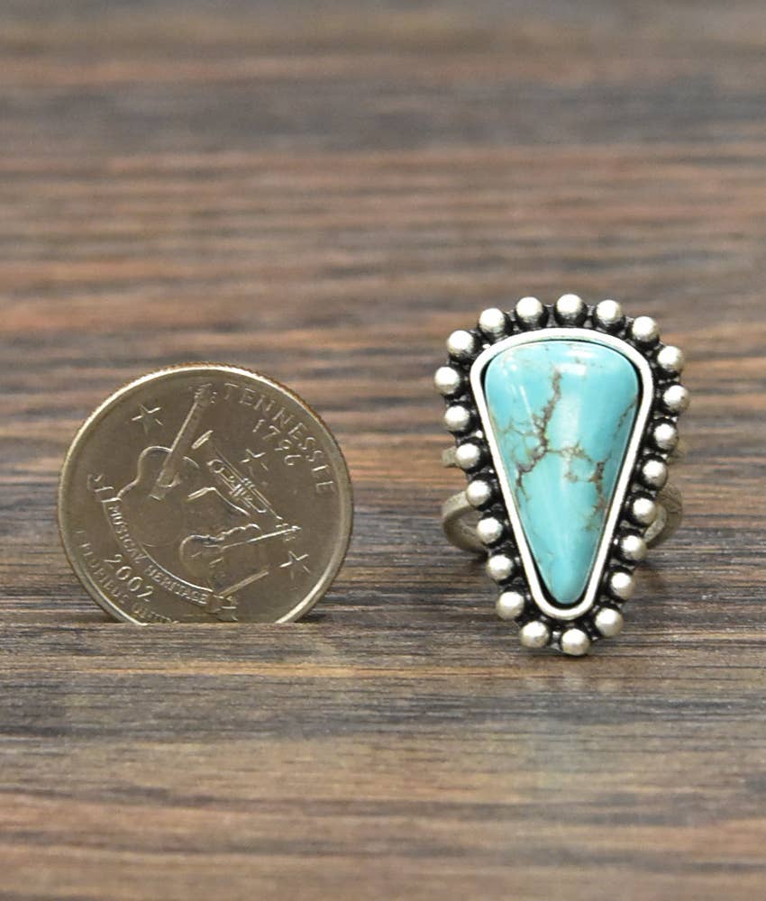 Turquoise Adjustable Statement Ring with Brass Dual Band Silver Elegant